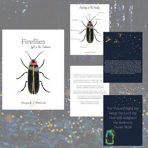 Firefly unit study, lightning bug curriculum for kids, homeschool resource, firefly nature study, bible study, children&#39;s devotional, summer