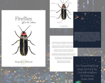 Firefly unit study, lightning bug curriculum for kids, homeschool resource, firefly nature study, bible study, children's devotional, summer