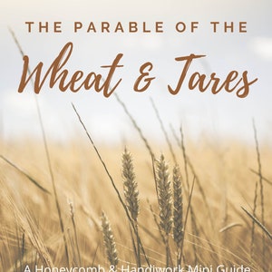 The Parable of the Wheat and Tares Mini Unit, homeschool unit study, sunday school curriculum, homeschool curriculum, garden unit study, image 3