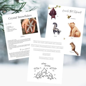 Winter Bundle! Winter newsletter, winter unit study, winter morning menu, poetry, hymn study, art study, nature study, literature study