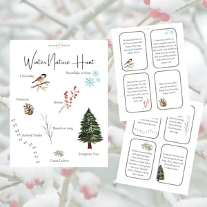 Winter Nature Hunt, backyard scavenger hunt, nature walk list, winter nature walk, homeschool, natureschool, charlotte mason, nature walk
