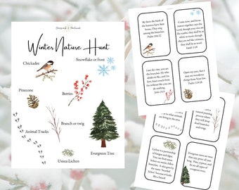 Winter Nature Hunt, backyard scavenger hunt, nature walk list, winter nature walk, homeschool, natureschool, charlotte mason, nature walk