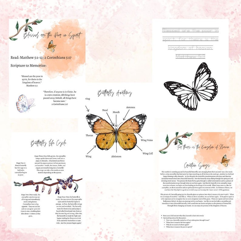 Flower unit study, butterfly lessons for kids, beatitudes, kids devotional, christian curriculum, nature crafts, springtime homeschool, bees image 2