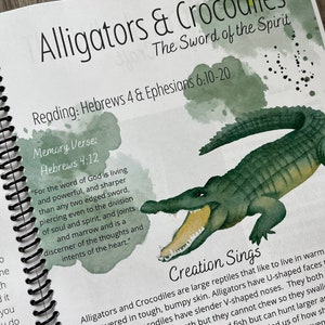 Whole Armor of God, armor of God unit study, reptile unit study, homeschool curriculum, christian curriculum, reptile crafts, nature study image 3