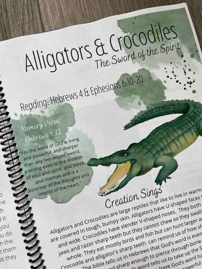 Whole Armor of God, armor of God unit study, reptile unit study, homeschool curriculum, christian curriculum, reptile crafts, nature study image 3