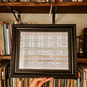 May include: A framed weekly schedule with a black ornate frame. The schedule is printed on white paper with black text, detailing daily activities. The frame is held in front of a bookshelf filled with books.