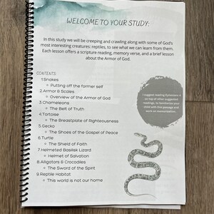 Whole Armor of God, armor of God unit study, reptile unit study, homeschool curriculum, christian curriculum, reptile crafts, nature study image 2