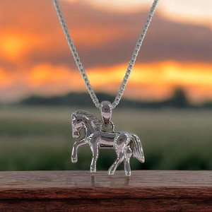 Fun Sterling Silver Horse Charm / Pendant with 18&quot; Silver Box Chain, Horse charm, Silver horse charm, horse pendant with chain, silver horse