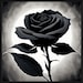 Shadowrose