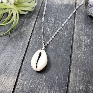 May include: A silver chain necklace with a white cowrie shell pendant. The necklace is on a dark wood background.