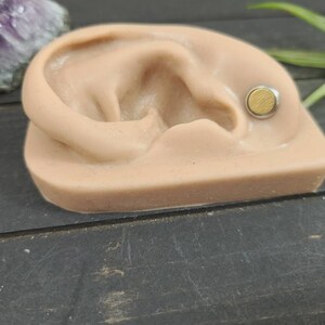 May include: A close-up of a fake ear with a gold-colored circular earring. The earring is a flat disc with a brushed finish.