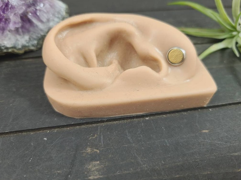 May include: A close-up of a fake ear with a gold-colored circular earring. The earring is a flat disc with a brushed finish.