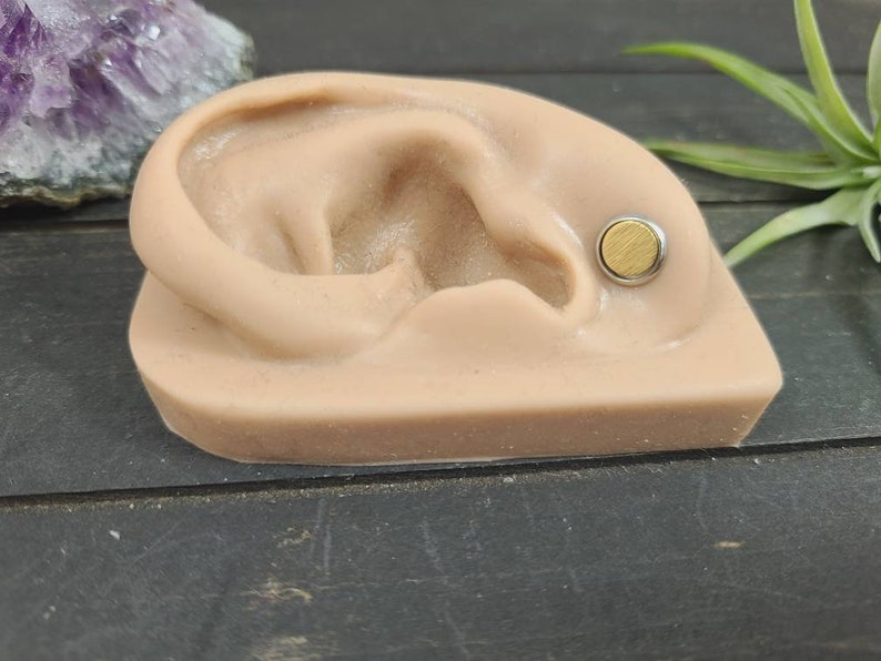 May include: A close-up of a fake ear with a gold and silver magnetic earring. The earring is a small, round disc with a textured surface.