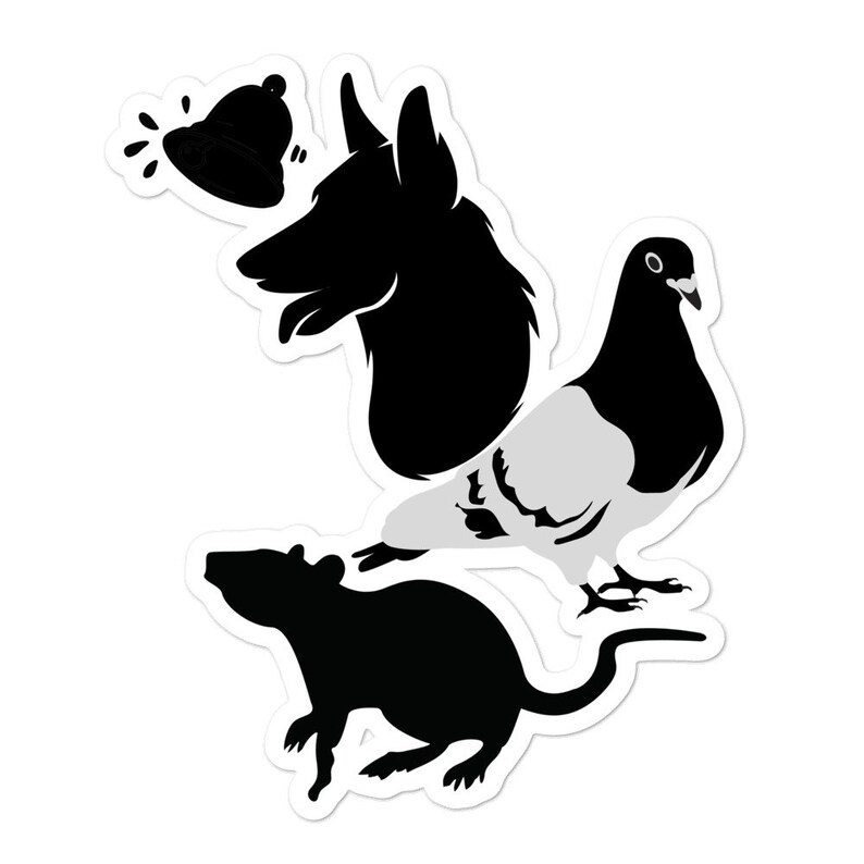 Behaviorism Pavlov/'s Dog Skinner/'s Pigeon Watson/'s Rat Bubble-free stickers