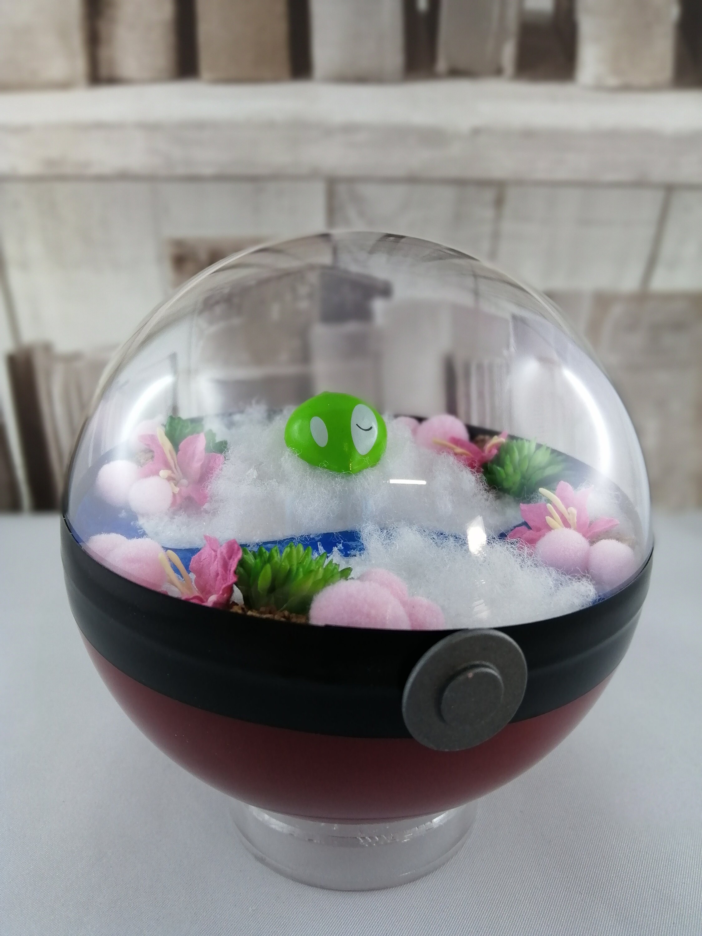 Bulle Terrarium Décoratif Pouic Zygarde