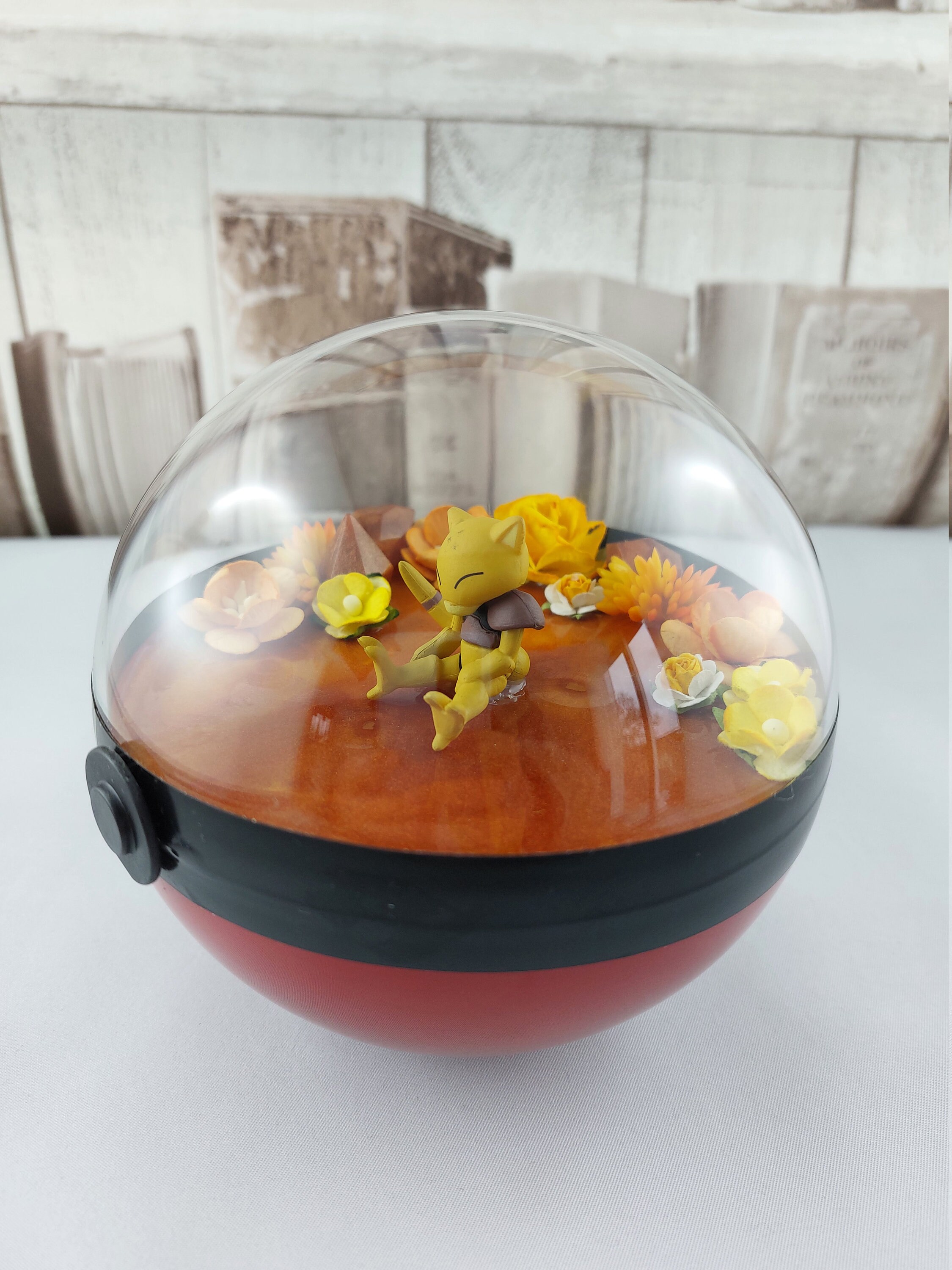 Bulle Terrarium Décoratif Abra