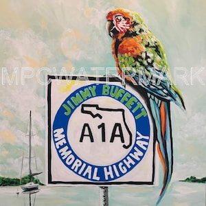 May include: A colorful parrot perched on a white sign with blue lettering that reads "Jimmy Buffett Memorial Highway A1A". The sign is against a light blue sky with white clouds.