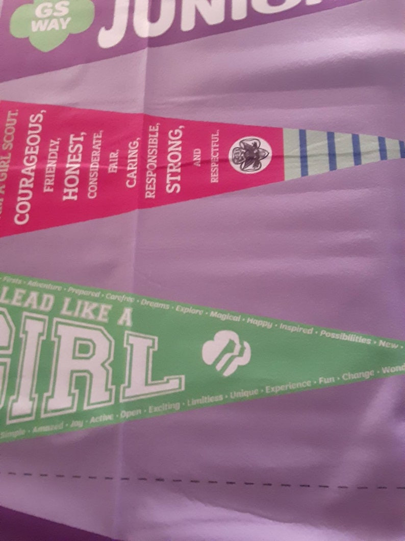 Panel girl scouts 3 flannel felt like pennant very cool