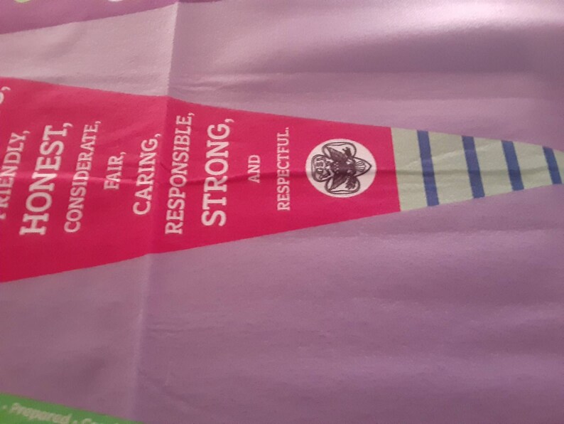 Panel girl scouts 3 flannel felt like pennant very cool
