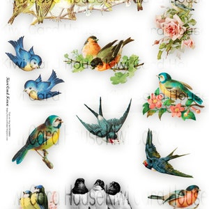 Oiseaux vintage imprimables, Coupe difficile, Feuille de collage, Téléchargement numérique, Éphémère image 1