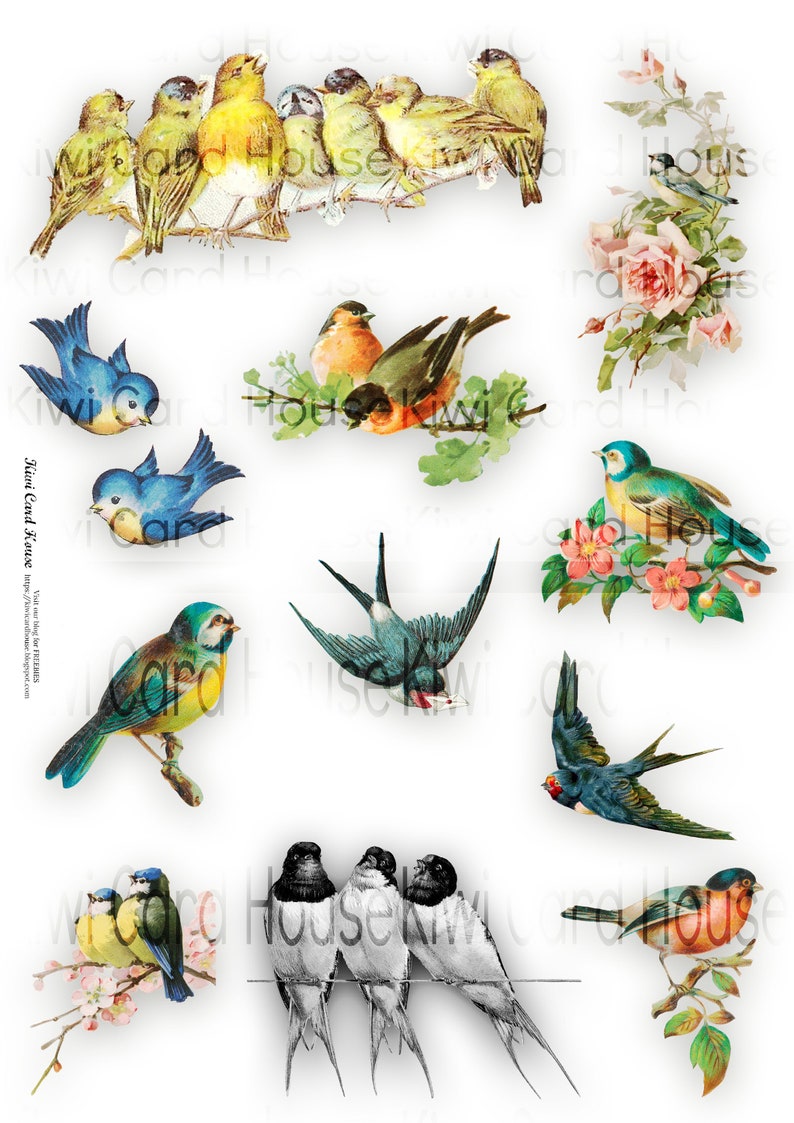 Printable Vintage Birds, Fussy Cut, Collage Sheet, Digital Download, Ephemera image 1