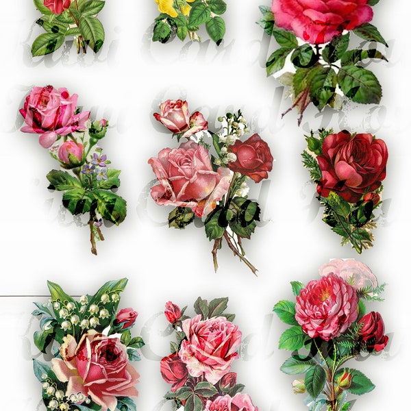 Fussy Cut Vintage Rose's, Cut Outs, Printable, Flowers, Floral, Collage Sheet, Digital Download