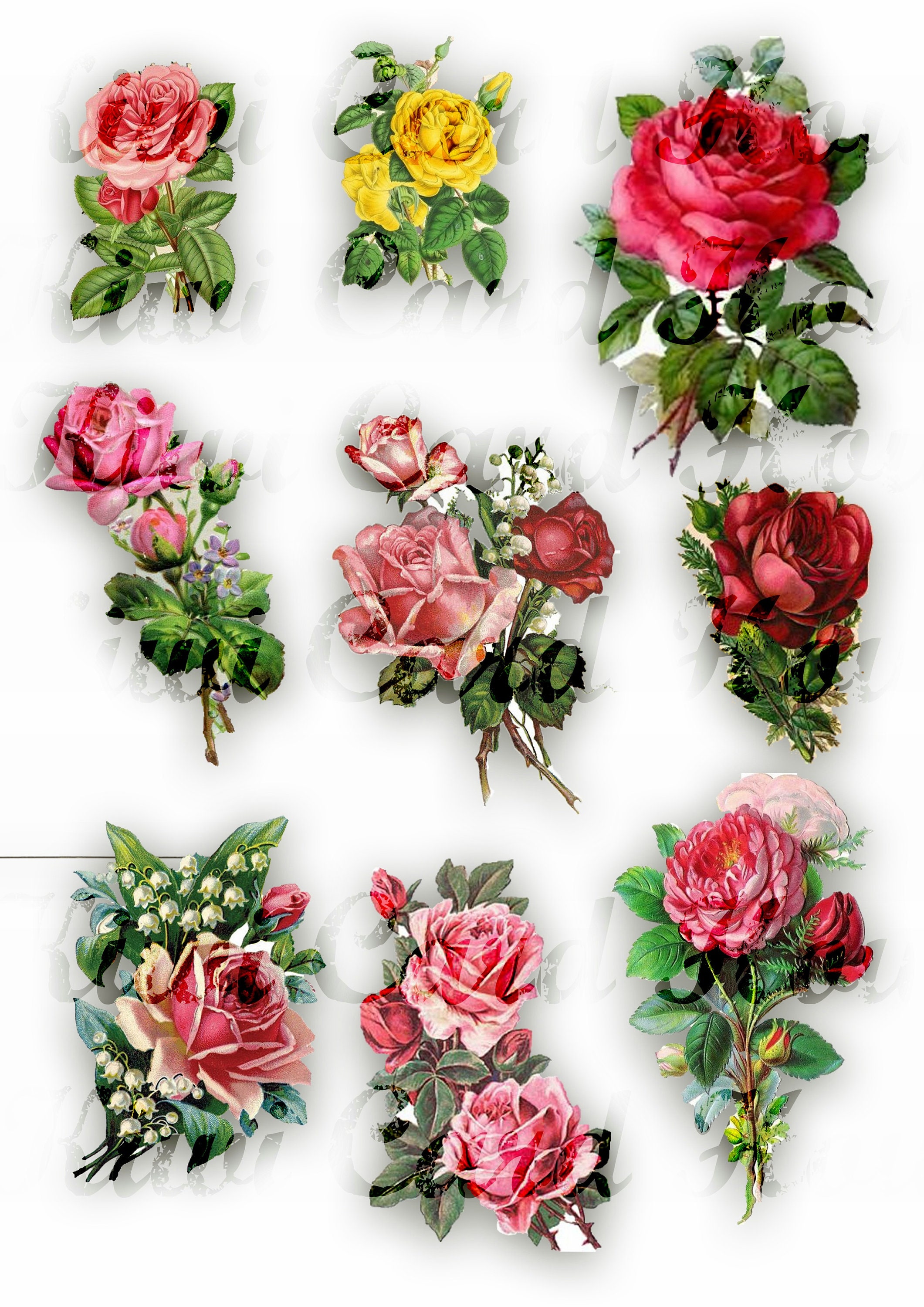 Fussy Cut Vintage Rose's, Cut Outs, Printable, Flowers, Floral, Collage  Sheet, Digital Download