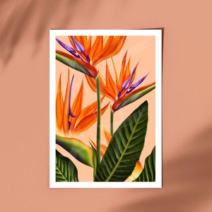 A4 Art Print - Complete - Birds of Paradise - strelitzia - strelitzie - illustration blumen - flower - apricot - print - walldecor - blume