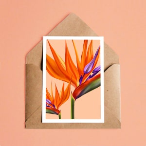 A6 Mini Print - Pure - strelitzie - strelitzia illustration - flower - plant - apricot - a6 print - Kunstdruck - art print