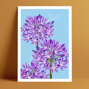 A5 Art Print Lush Lily Blue lily flower flower illustration agapanthus art print plant illustration plants