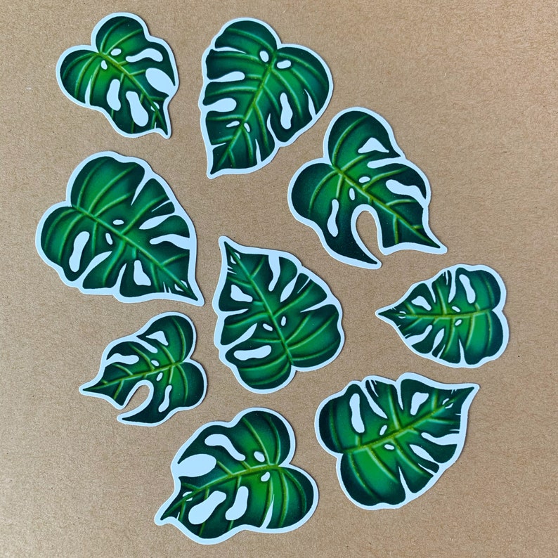 Monstera Sticker Pack Monstera Sticker Set of 9 Plant - Etsy New Zealand