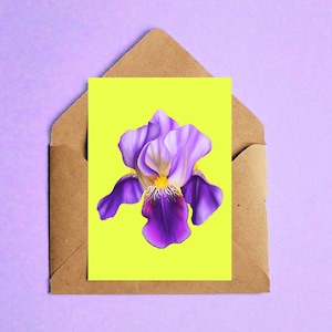 Può includere: Biglietto di auguri con un'illustrazione di un fiore di iris viola con centro giallo, su sfondo giallo brillante. Il biglietto è all'interno di una busta marrone, con uno sfondo viola chiaro.