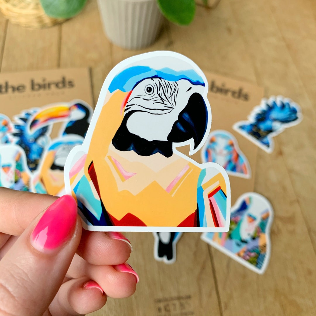 Parrot - Sticker - Single Sticker - Bird Sticker - Colorful - Handmade ...