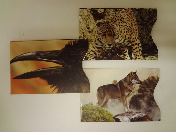 3- Animal Guardian RFID Anti Identity Theft Credit Card Protector Sleeves -  Etsy