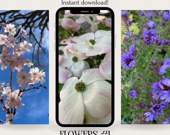 Floral iPhone Wallpaper | Spring Blossom Aesthetic (Digital Download)