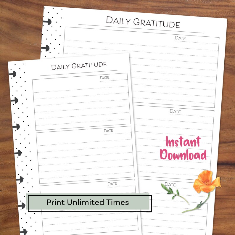Daily Gratitude Journal, Happy Planner Insert, Printable Inserts