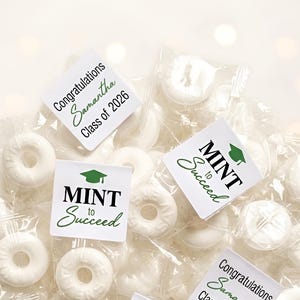 Mint to Succeed Graduation Gifts, Graduation Stickers, Mint Label Favors, Graduation Favors, Class of 2026, Candy Stickers, Graduation Mints