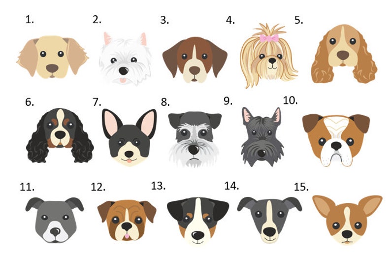 May include: A grid of fifteen numbered illustrations featuring various dog breeds. Each graphic displays a stylised canine head with distinct facial features, ear shapes, and colour patterns, ranging from light tan and white to dark brown and black.
