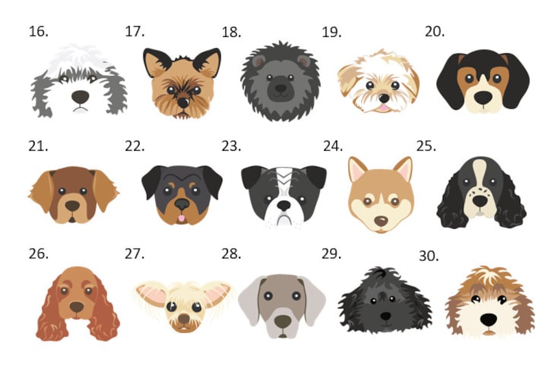 May include: A collection of fifteen stylised dog head illustrations arranged in a grid, numbered 16 through 30. Each icon features a distinct canine breed with unique fur colours, patterns, and facial expressions, rendered in a flat graphic design style.
