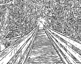 Wooded Path Coloring Page