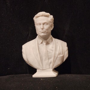 Elon Musk founder of Tesla and SpaceX