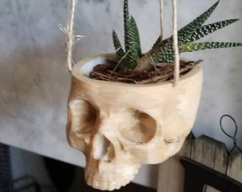 Skull hanging planter for indoor or outdoor succulent or small plant Halloween decor skeleton scary ghost pot brain