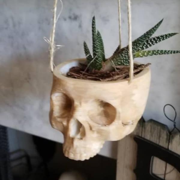 Skull hanging planter for indoor or outdoor succulent or small plant Halloween decor skeleton scary ghost pot brain