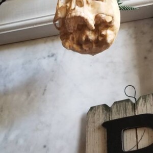 May include: A white plastic skull hanging from a string. The skull is hanging in front of a white wall with a black lace overlay.