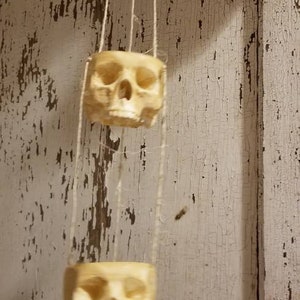 May include: Two white ceramic skull planters hanging from a string against a white wood background.