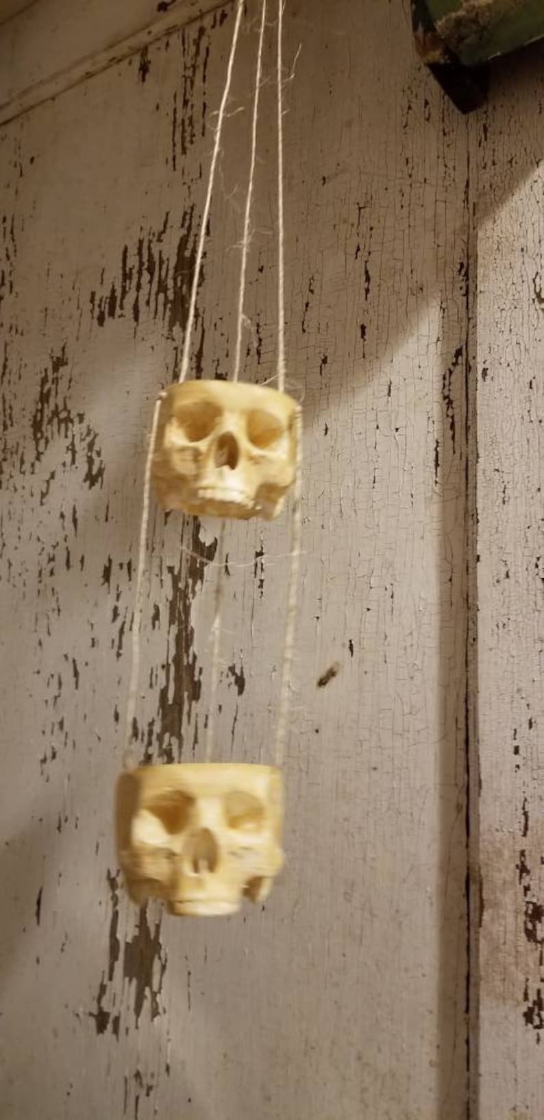 May include: Two white ceramic skull planters hanging from a string against a white wood background.