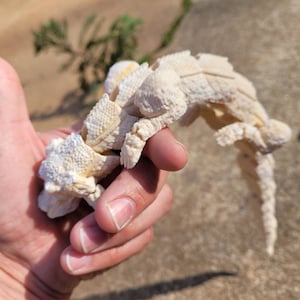 Dragón de la suerte Falcor historia interminable articulada imagen 4
