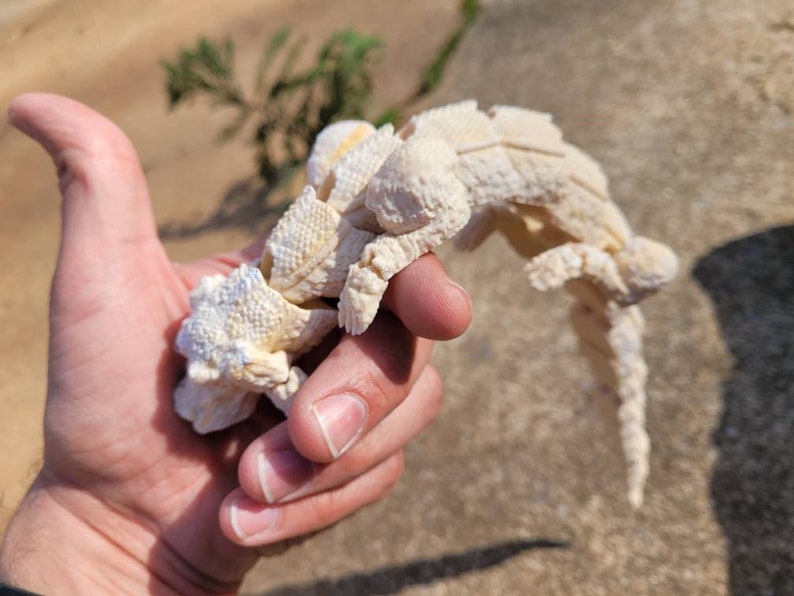 Dragón de la suerte Falcor historia interminable articulada imagen 4
