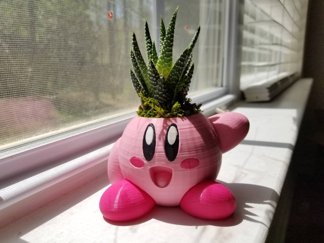Cute Mini Indoor Kirby Succulent Planter for Plants Flowers