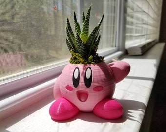 Cute Mini indoor Kirby succulent planter for plants flowers kitchen bathroom or a garden whispy woods
